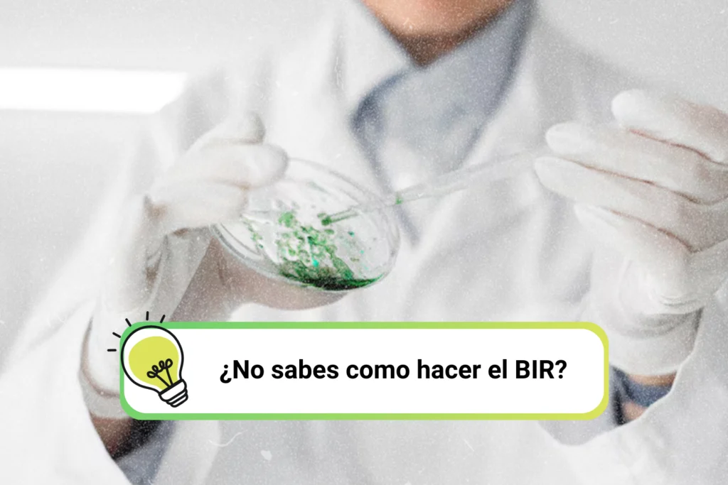 ¿Qué es el BIR?