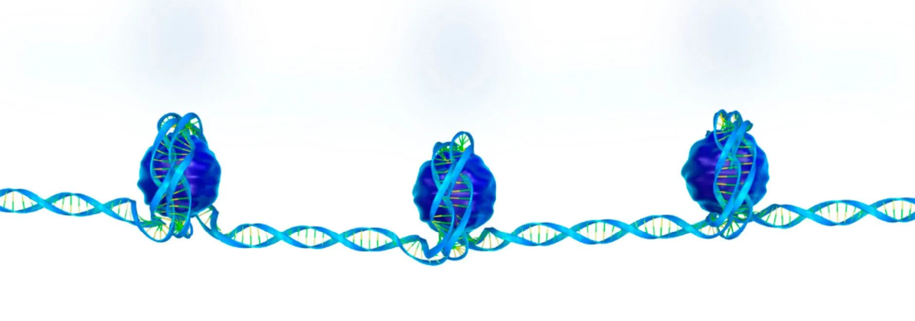 Curso-de-Epigenetica-en-Medicina-1