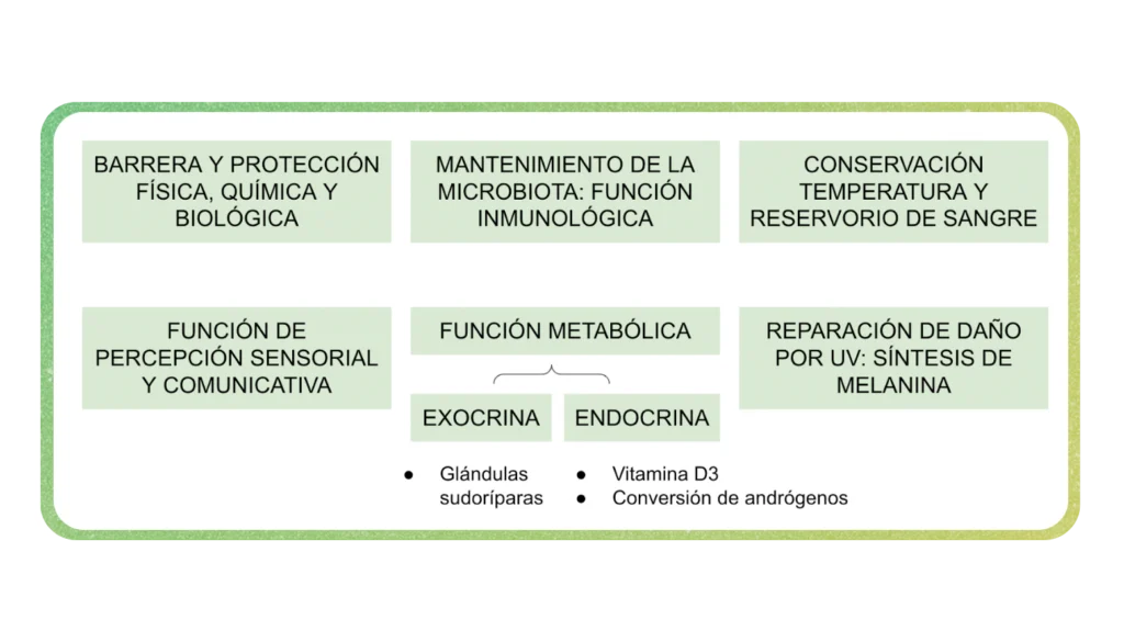 ¿Estar moreno debería estar de moda?