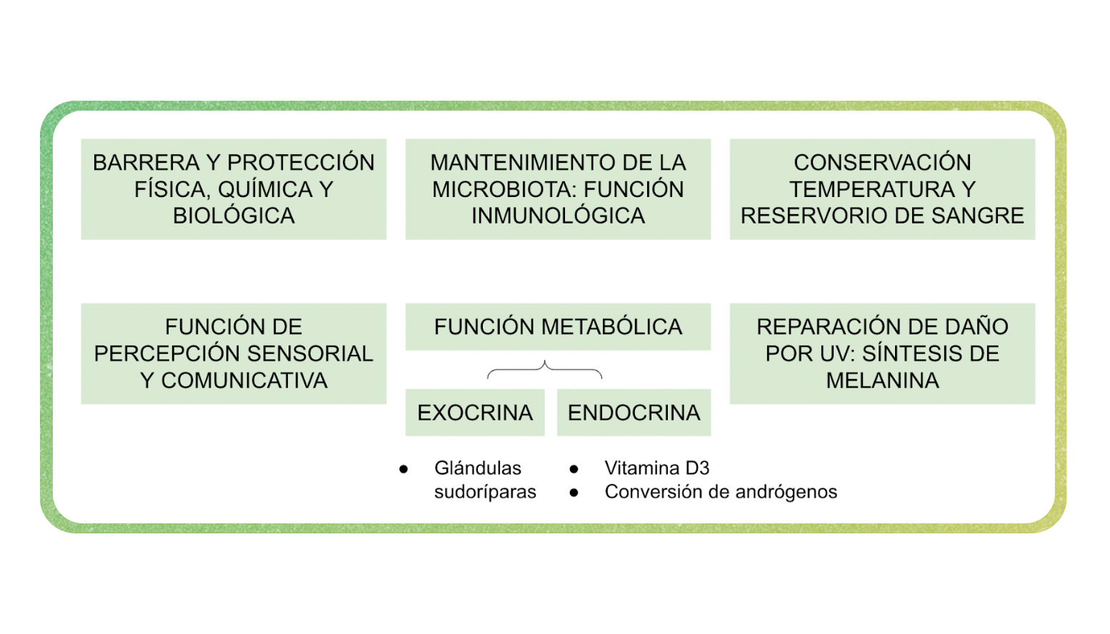 ¿Estar moreno debería estar de moda?